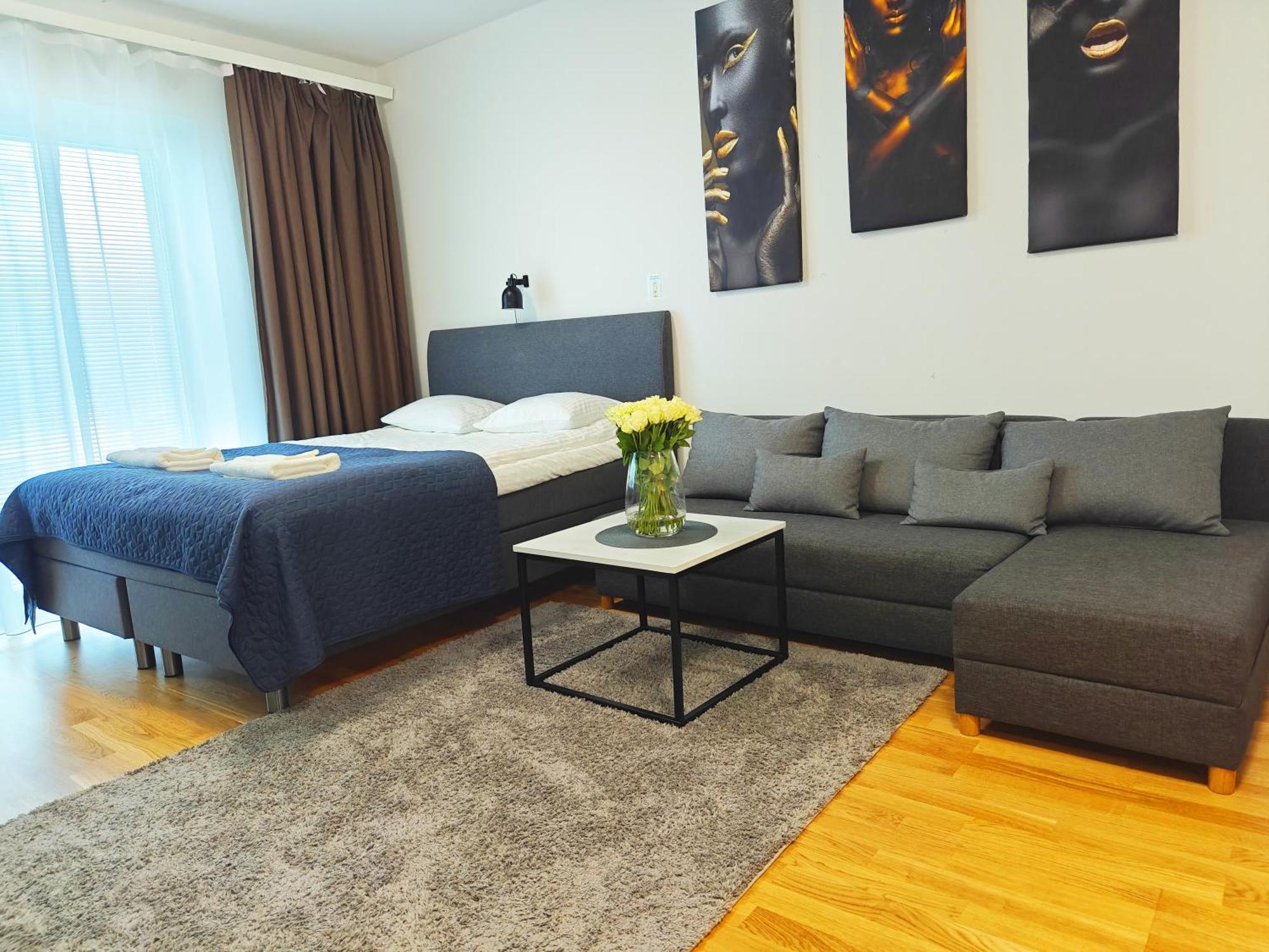 Apartment Heart Of Oulu, With Parking *